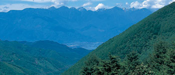 写真：保福寺峠