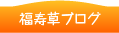 福寿草ブログ